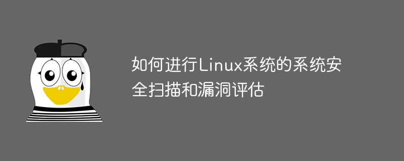 如何进行linux系统的系统安全扫描和漏洞评估