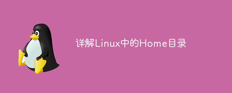 深入探讨Linux中Home目录