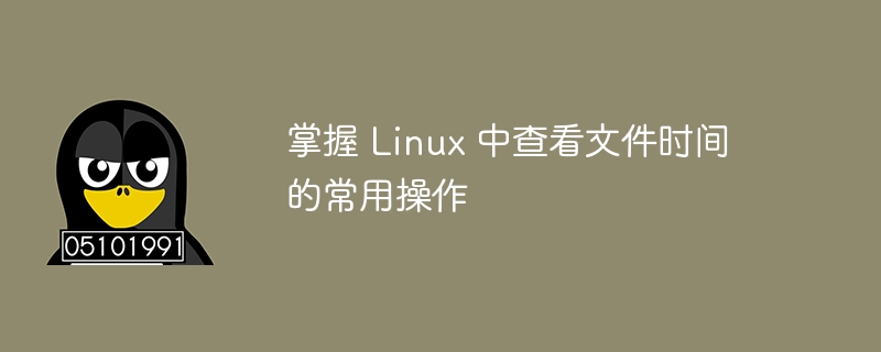 常用的 Linux 文件时间查看操作