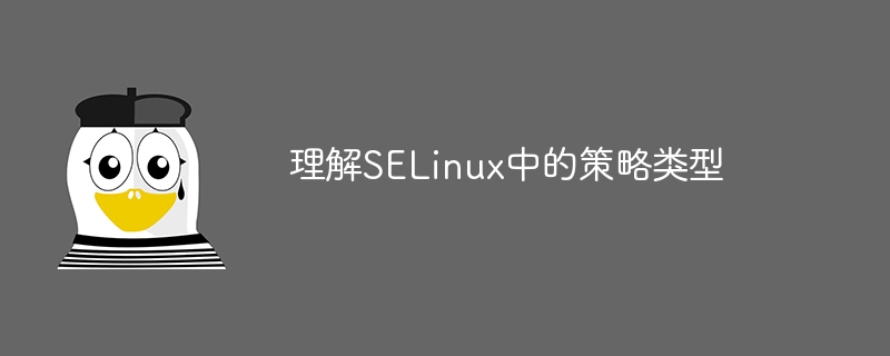 理解selinux中的策略类型