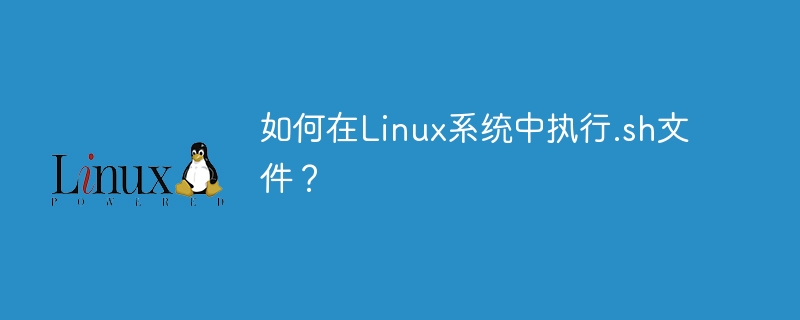 如何在linux系统中执行.sh文件？