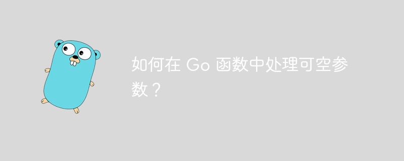 如何在 go 函数中处理可空参数？