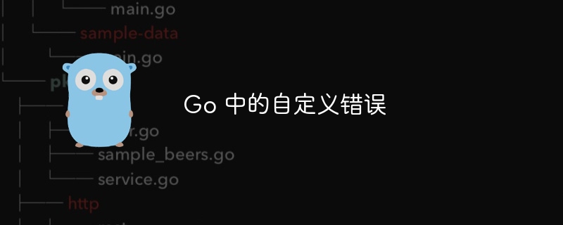 go 中的自定义错误