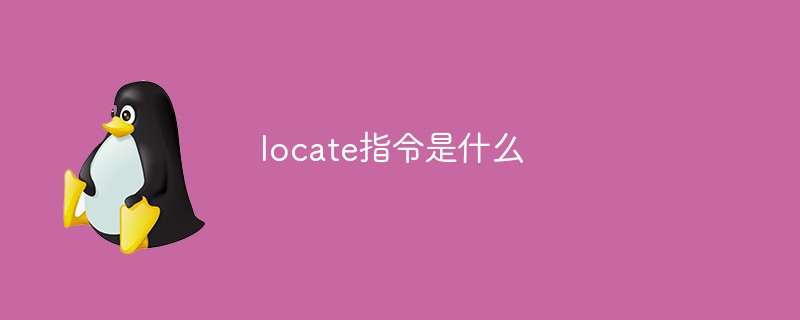 locate指令是什么