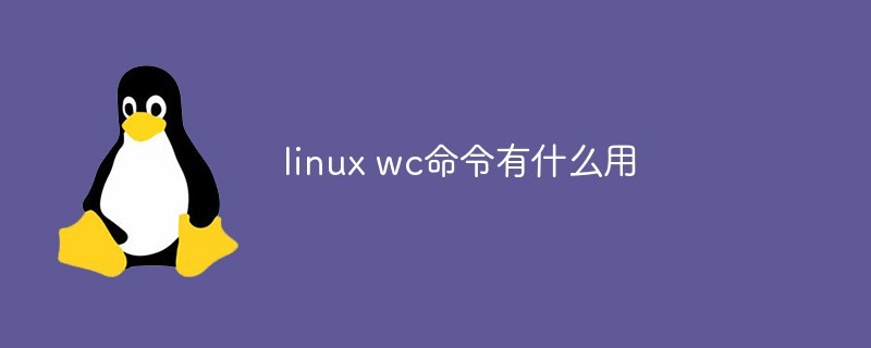 linux wc命令有什么用