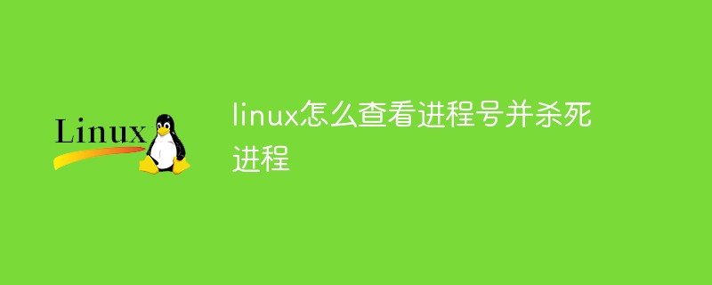 linux怎么查看进程号并杀死进程