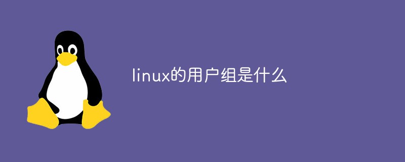 linux的用户组是什么