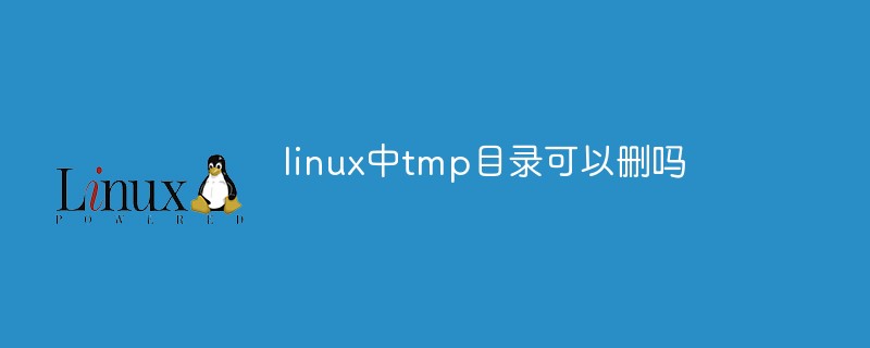 linux中tmp目录可以删吗