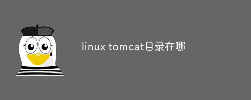 linux tomcat目录在哪