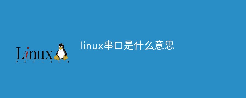 linux串口是什么意思