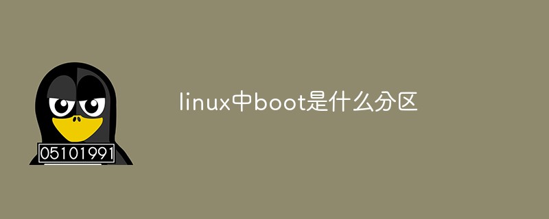 linux中boot是什么分区