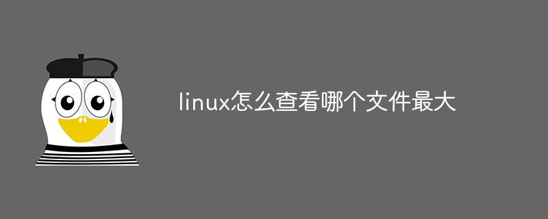 linux怎么查看哪个文件最大