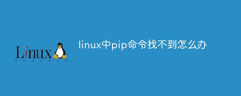 linux中pip命令找不到怎么办