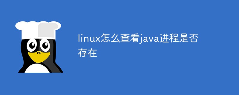 linux怎么查看java进程是否存在