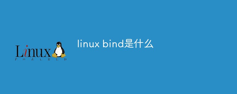 linux bind是什么