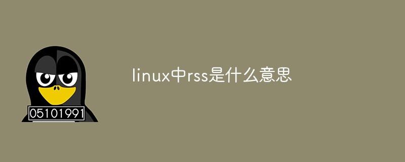 linux中rss是什么意思