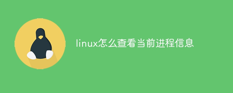 linux怎么查看当前进程信息