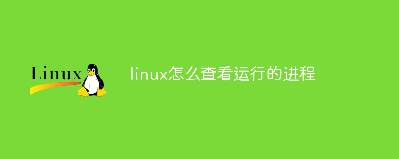 linux怎么查看运行的进程