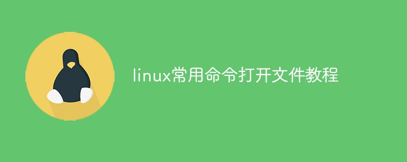 linux常用命令打开文件教程