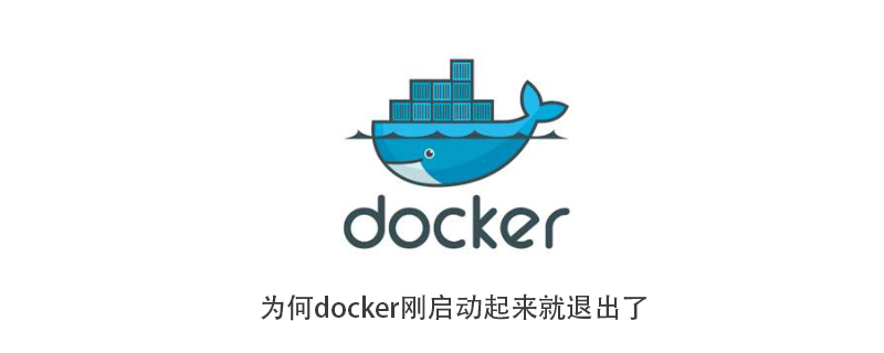 为何docker刚启动起来就退出了