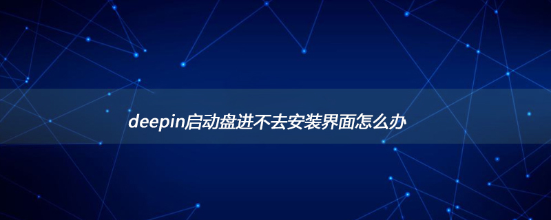 deepin启动盘进不去安装界面怎么办