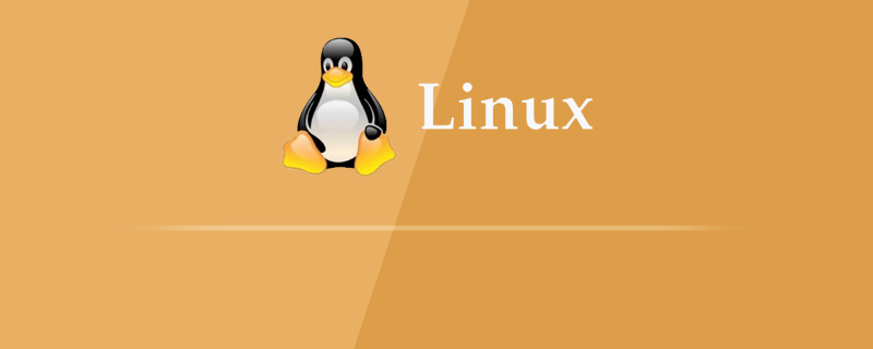 存放linux基本命令的是什么目录