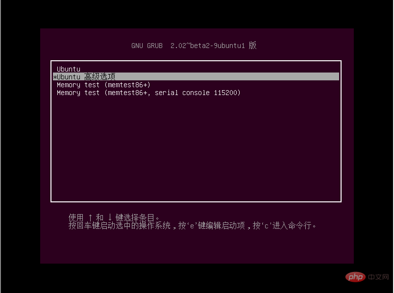 选择ubuntu高级选项，按 e 键