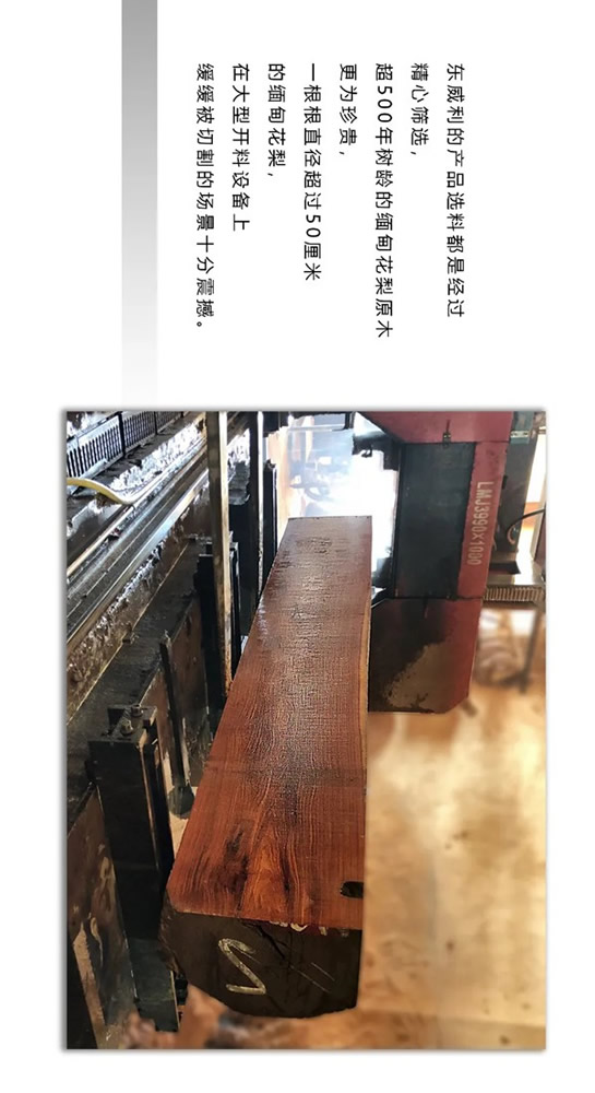 走進東威利整裝，探尋緬甸花梨