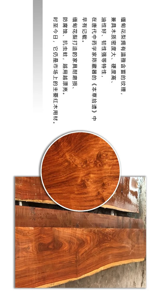 走進東威利整裝，探尋緬甸花梨