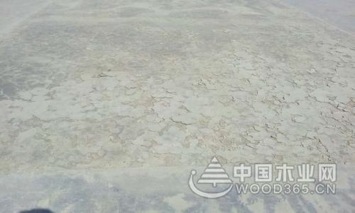 c25混凝土配合比詳細介紹