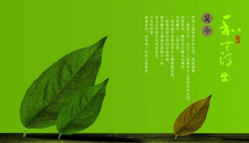 早白尖茶业加盟