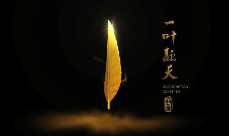 雾中天茶业加盟 雾中天茶业加盟