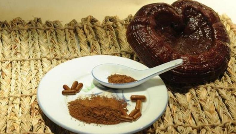 虫草灵芝茶加盟 虫草灵芝茶加盟