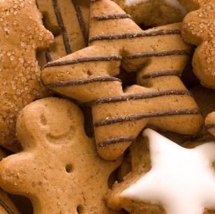 菲西尔食品添加剂