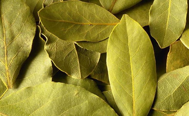 文辉调味品加盟 文辉调味品加盟