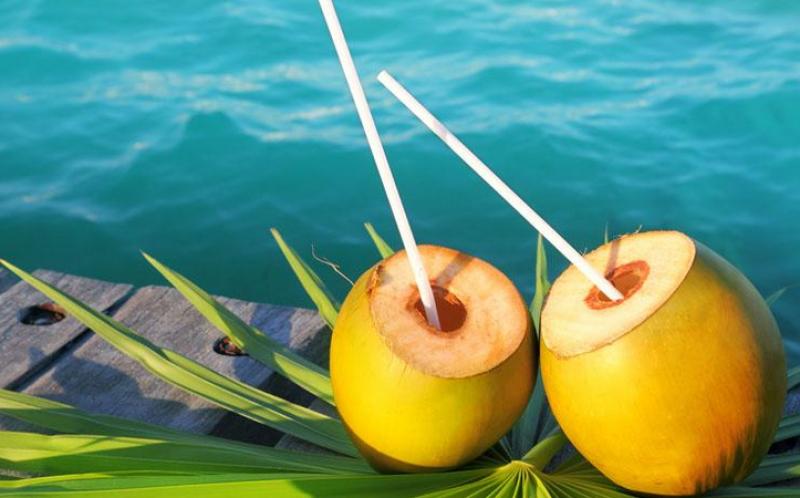 天佑海南椰子加盟 天佑海南椰子加盟