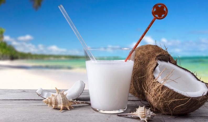 天佑海南椰子加盟 天佑海南椰子加盟