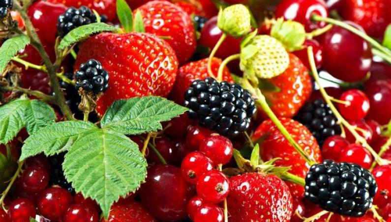 陈亮生水果档加盟 陈亮生水果档加盟