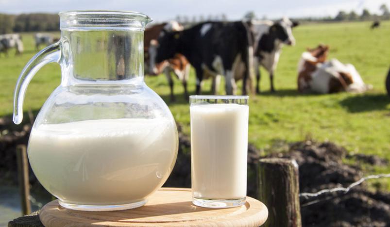 晨光纯鲜牛奶加盟