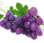 丞丞水果大卖场