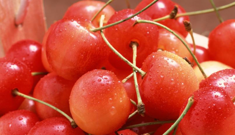 成成果园加盟 成成果园加盟