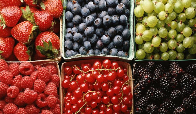 成忠水果店加盟