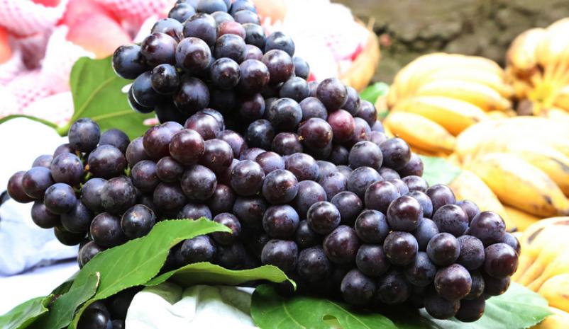 诚实水果店加盟 诚实水果店加盟