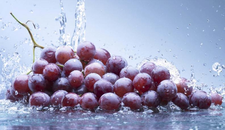 诚壹葡萄加盟 诚壹葡萄加盟