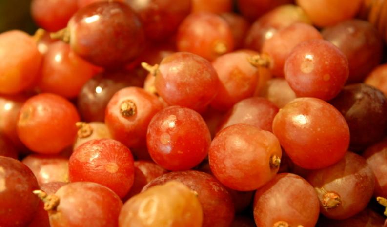 城城果园加盟 城城果园加盟