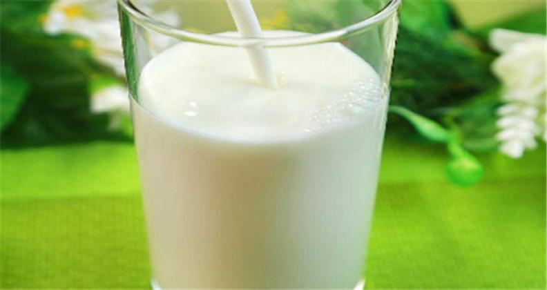 城南路奶站加盟