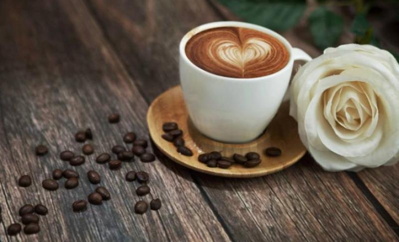 抽屉里的安娜加盟