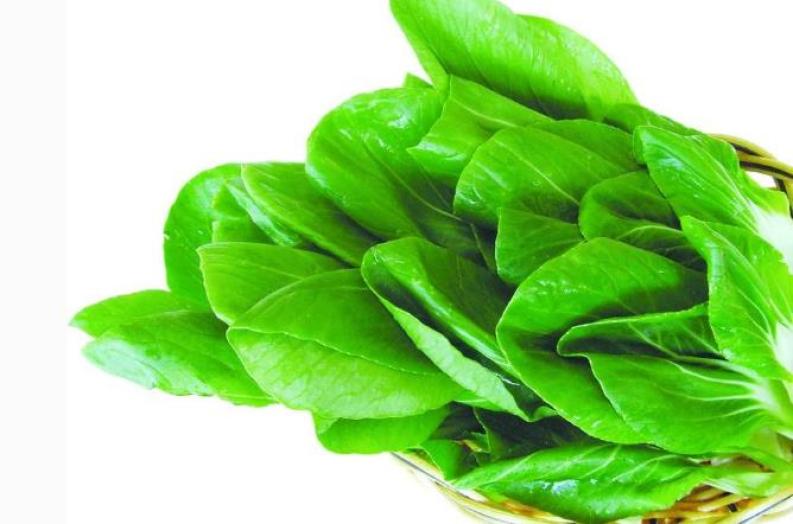 厨老大鲜菜火锅加盟 厨老大鲜菜火锅加盟