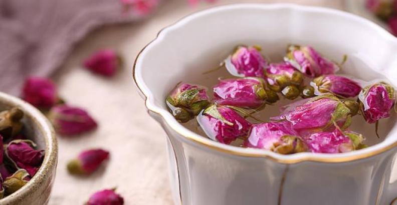 船码头茶园加盟