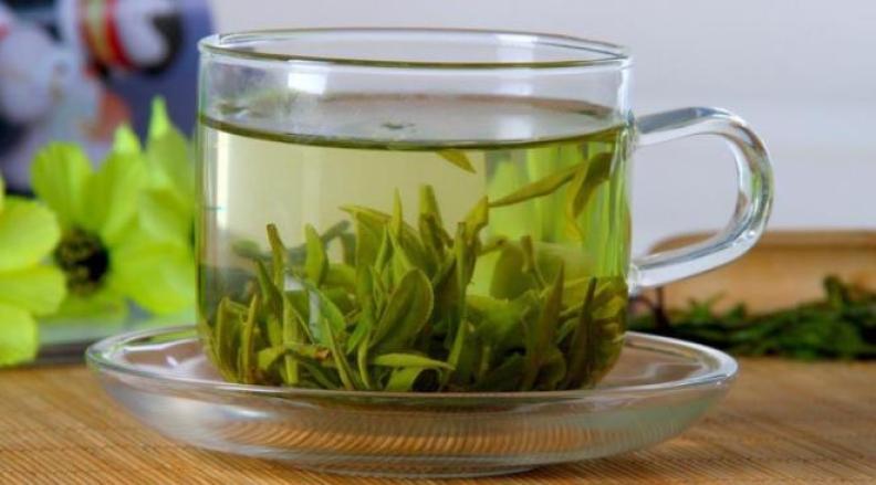 茶树王普洱茶加盟